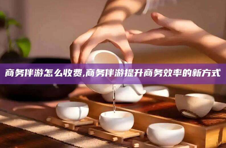河池商务伴游怎么收费,商务伴游提升商务效率的新方式